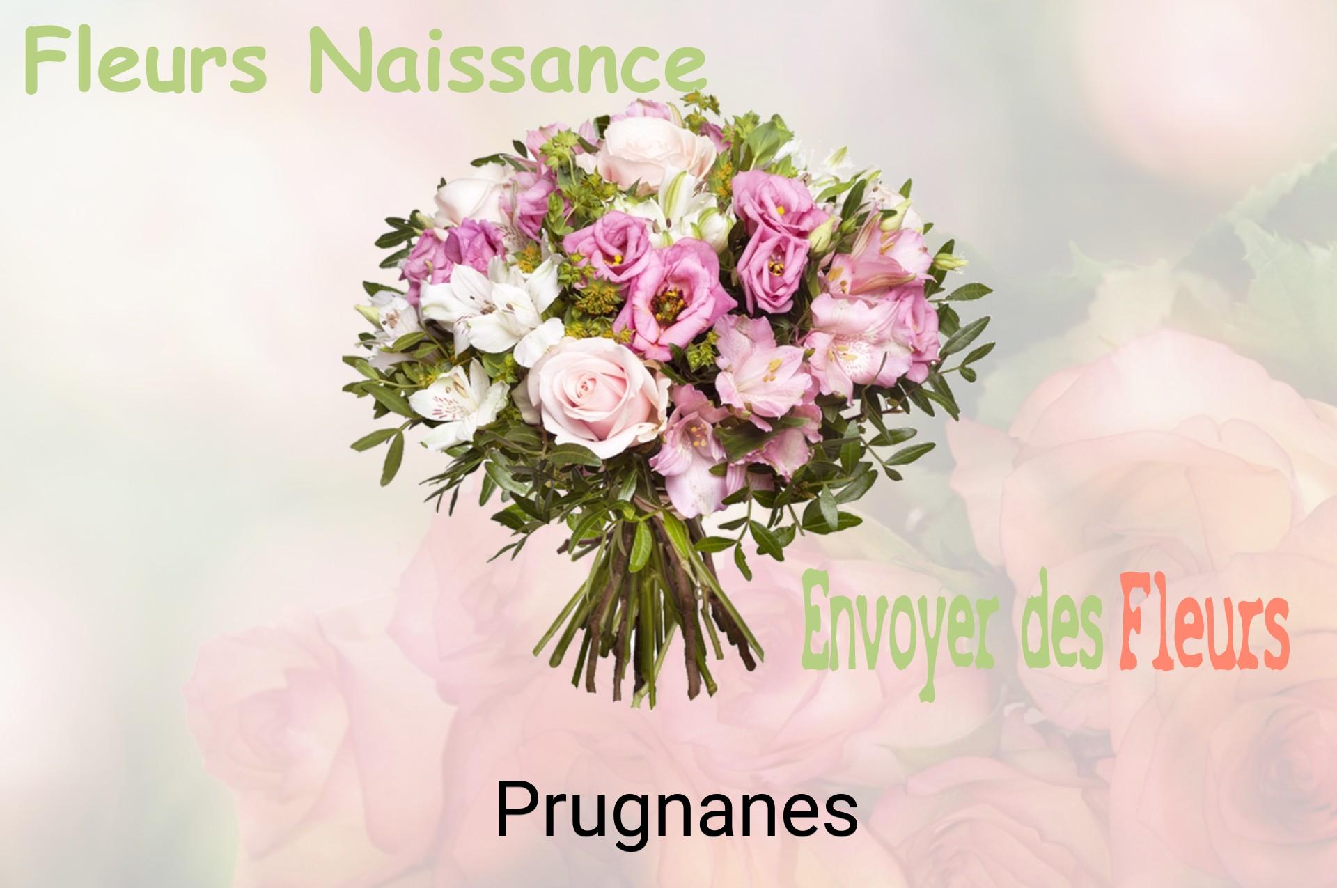 Bouquet de fleurs de naissance livré à Prugnanes